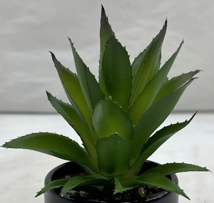 Adornos Decorativos para Jardín y Hogar, Árbol Artificial de Agave y <span class=keywords><strong>Maguey</strong></span>, Material PE, para Bodas y Uso en Interiores - Product Image 4