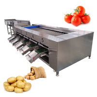 Gemotoriseerde Fruit-En Groentemaatsorteermachine Voor Druivenkersen Uienaardappel