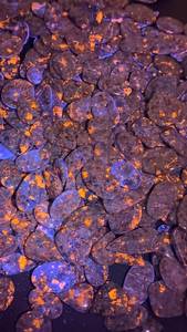 Proveedor Indio de Piedras Preciosas Yooperlite, Piedra Fluorescente Natural para Joyería de Cabujón y Colecciones de Cristales, Disponible para la Venta - Product Image 6