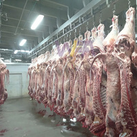 Maquinaria para Mataderos a Precio de Fábrica, Línea de Sacrificio de Ganado Vacuno y Ovino, Equipo para Mataderos