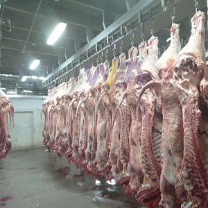 Machines d'abattoir à prix d'usine équipement de ligne d'abattage de bovins et de moutons machine d'abattoir pour équipement de <span class=keywords><strong>boucherie</strong></span> - Product Image 4