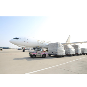 चीन से ईथोपिया एयर एक्सप्रेस माल और कार्गो के लिए तेजी से पारगमन समय - Product Image 1