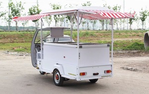 Voiture à glace électrique à trois roues réfrigérateur congélateur décrochage <span class=keywords><strong>mobile</strong></span> glace collation voiture <span class=keywords><strong>mobile</strong></span> boissons froides voiture à popsicle - Product Image 5