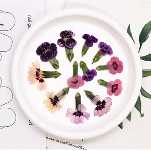Bijoux en résine <span class=keywords><strong>rose</strong></span> arc-en-ciel avec pétales de fleurs naturelles pressées, écologiques - Product Image 6