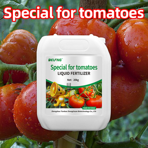 Fertilizante <span class=keywords><strong>foliar</strong></span> especializado para tomates, que promueve la formación de tomates regulares de color rosado - Product Image 1