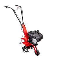 EUROSYSTEMS Cultivateur La Zappa Engine OHV 123 cc Mini machine agricole facile à utiliser Cultivateur