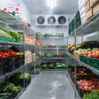 Teknologi Cold Room Canggih Untuk Kebutuhan Penyimpanan Modern