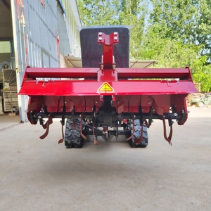 Mini-motoculteur compact à moteur diesel pour jardin et petites surfaces - Cultivateur multifonctionnel pour terres arides - Vente flash - Product Image 2