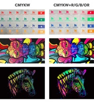 Encres couleur DTF Hanrun Paper de qualité supérieure R/G/B/OR pour impression couleur professionnelle