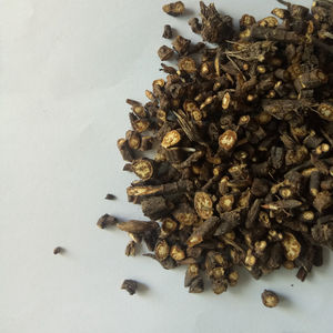 Bupleurum Radix Bupleurum Scorzonerifolium черные высушенные сырые корни Bupleurum Scorzonerifolium для продажи - Product Image 2