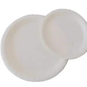 compostable Custom Logo Biodegradable water based coating paper bowl disposable paper plate recyclable