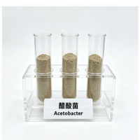 Inoculant Microbien Sec Acetobacter 10 Milliards UFC/g – Poudre de Bactéries Acétiques pour la Fermentation du Vinaigre et le Processus de Conversion Acétique