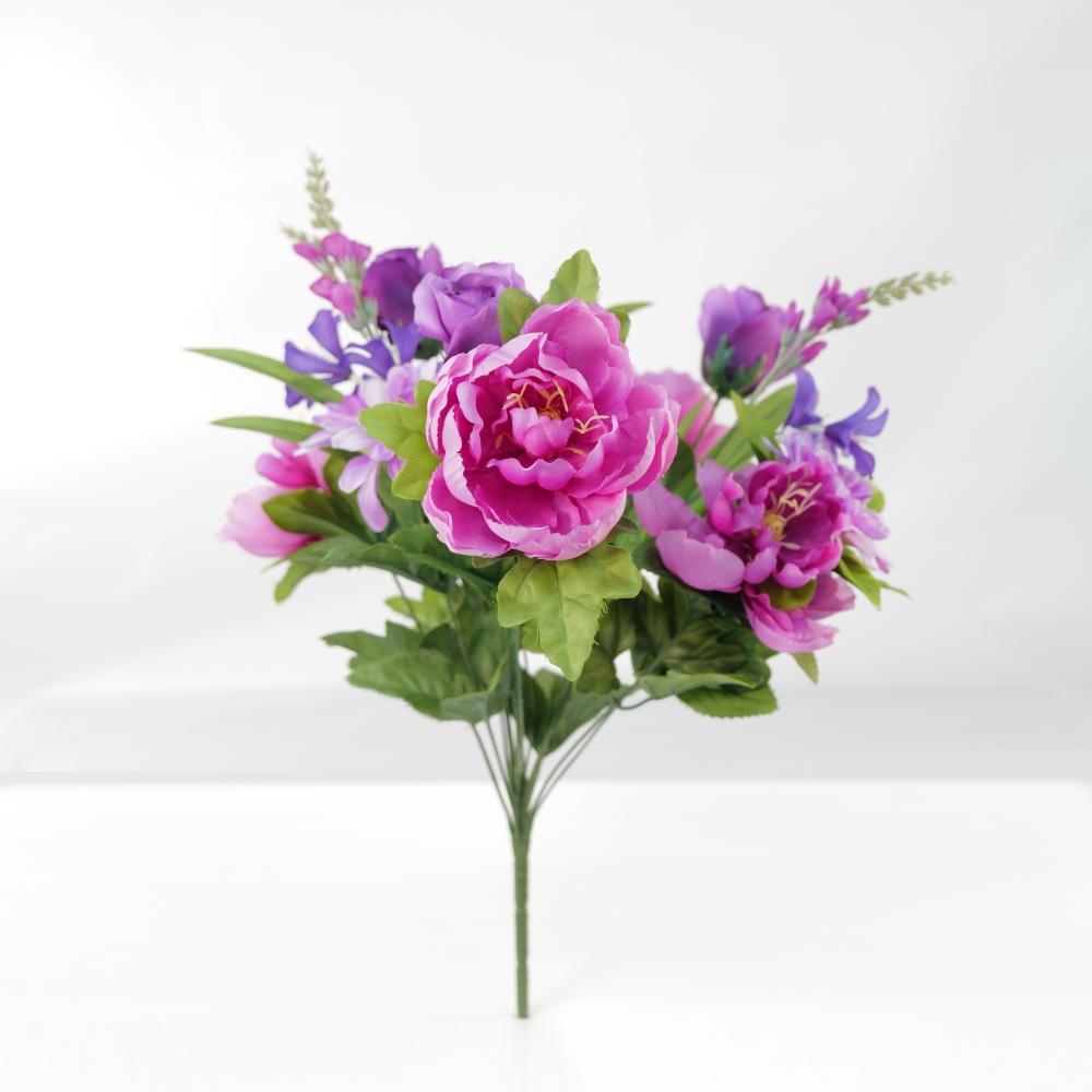 Pourpre