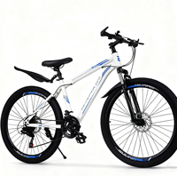 Vélo/Montain Bike Original 2025 de Haute Qualité en Promotion Directe Usine à Bon Prix