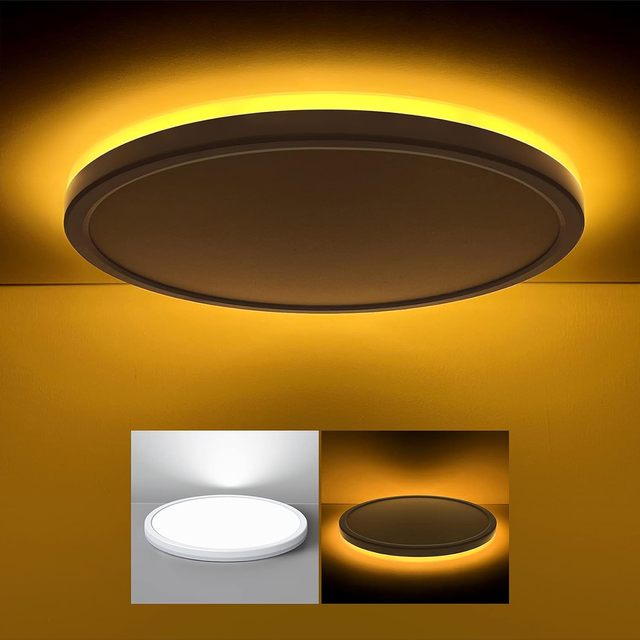 Modern 12 Inch 29cm LED Flush Mount Ceiling Light Fixture with Night Light 24W Remote Control Dimmable Cold White Bedroom
