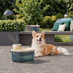 Set di Ciotole Rialzate in Acciaio Inox per Animali Domestici, Antiscivolo e Antigoccia, Doppia Ciotola per Cani e Gatti di Taglia Grande, Media e Piccola, Alimentazione e Abbeveraggio Ecologici - Product Image 1