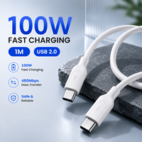 Câble USB-C 100W OEM ODM 1M Type C vers C, charge rapide PD 5A, USB 2.0, câble de données tressé en nylon, logo personnalisé, fournisseur d'usine