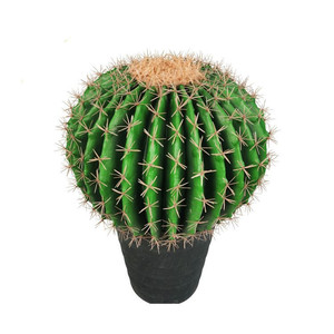 Flores Artificiales de Alta Calidad para Decoración del Hogar, Planta Artificial de Cactus, Venta al por Mayor de Fábrica - Product Image 4
