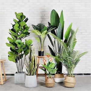 Paradise Palm Extérieur Intérieur Maison Ornementale Petit Grand Grand Faux Plante <span class=keywords><strong>en</strong></span> <span class=keywords><strong>Pot</strong></span> Arbre Artificiel kwai Palmier Plantes à Vendre - Product Image 1
