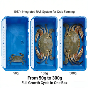 Système RAS Crab Box pour l'aquaculture en circuit fermé, réservoir de recirculation pour l'élevage en intérieur de crabes et de crevettes - Product Image 1