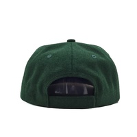 Topi bisbol Hip Hop pria luar ruangan topi Snapback kinerja hangat wol musim dingin Logo kustom grosir diskon besar 5 Panel