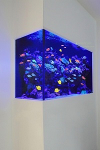 ตัวกรองแบบแห้งและเปียกด้านล่างขนาดใหญ่สำหรับตู้ปลาบ่อเลี้ยงปลาขนาดใหญ่ - Product Image 5