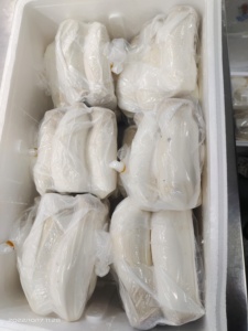 Hongos <span class=keywords><strong>Trompeta</strong></span> Reales Frescos de Alta Calidad Cultivados en China - Product Image 6