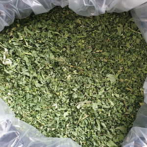 Offres de gros abordables de céleri séché pour l'exportation Céleri séché de source durable parfait pour les marchés d'exportation - Product Image 1