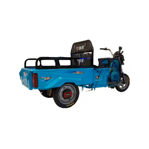 Durable 48v 500W 1.1m <strong>Mini</strong> Electric Tricycles 3 Wheels 2 Seat Open Body Type for Passengers and Cargo - Product Image 1