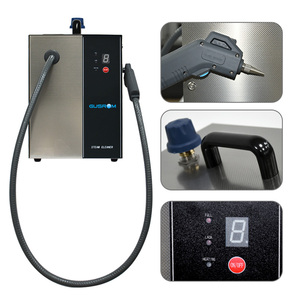 Prezzo basso vendita caldo dentale pulitore a vapore elettrico alimentato laboratorio dispositivo di pulizia per cliniche e laboratori - Product Image 4
