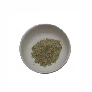 Natural Pure Rosemary Extract 25% Ursolic Acid