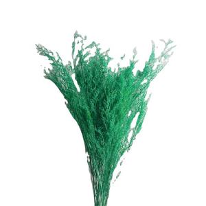 Ramo de Flores Secas para Decoración de San Valentín - Arreglo Floral Preservado para Regalo del Día del Maestro, Decoración de Mesa para Hogar u Oficina - Product Image 5