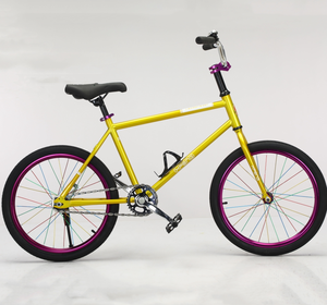 Vente en gros de 20 <span class=keywords><strong>pouces</strong></span> Coaster Brake Fashion Model Bicycle Vélo pour hommes et femmes avec frein à pied pour le marché russe - Product Image 4