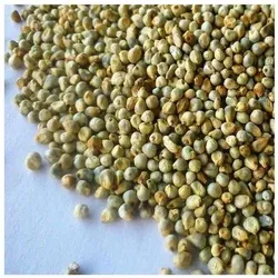 Quinoa <b>Seeds</b> 500g Natural Organic Grain Dry <b>Storage</b> Ready for Cooking Healthy organic grain Quinoa for cooking - Product Image 4