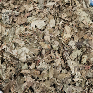 Thé aux feuilles de <span class=keywords><strong>framboisier</strong></span> rouge sucré personnalisé, thé aux herbes en feuilles entières - Product Image 5