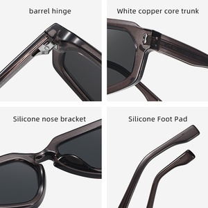 Sunray Propionate Acetate Frame Multi Side Rim Pin Insert Arm <b>Sunglasses</b> For Men And Women Euro American Trend Wear - Product Image 5