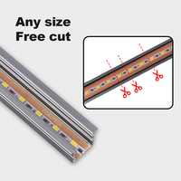 Profilé LED Encastré pour Ruban Lumineux à Découpe Libre, avec Rail en Aluminium Intégré, 12V 24V, Mini Lumière d'Armoire