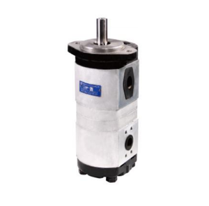 ปั๊มไฮดรอลิกเกียร์คู่เหล็กหล่อรุ่น CBHLD-F5-F5 ของ CBHLD-F563,CBHLD-F550,CBHLD-F540,CBHLD-F532,CBHLD-F525,CBHLD-F520 ขายดี - Product Image 4