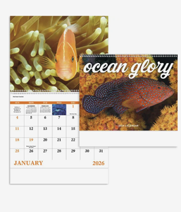 Calendari a Spirale Ocean Glory Personalizzati 2027, Regalo Promozionale con Logo Personalizzato, Qualità Premium all'Ingrosso - Product Image 4