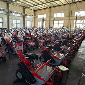 Tagliaerba Manuale a Spinta in Ferro per Giardino e Agricoltura - Product Image 6