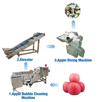 Geavanceerde fruitverwerkingslijn voor pruimen, tomaten, meloenen, mango's, ananas, appels: wassen, ventilatie-droging, sorteermachines