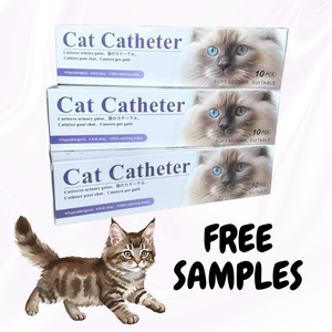 Catéter Urinario Estéril para <span class=keywords><strong>Gatos</strong></span>, Catéter Uretral de 1.0/1.3 mm (Catéter para <span class=keywords><strong>Gatos</strong></span>, Sin Dolor) para Uso Veterinario al Mejor Precio - Product Image 2