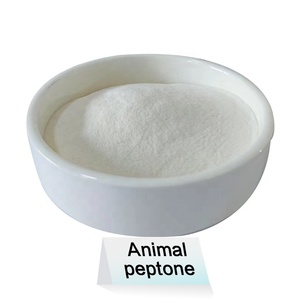 La peptona <span class=keywords><strong>animal</strong></span> de grado industrial es indispensable para la producción de dietas animales saludables y colágeno - Product Image 3