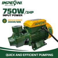 Pompe centrifuge électrique auto-amorçante QB80 750W 1HP pour eau claire, idéale pour l'irrigation domestique et de jardin (OEM)