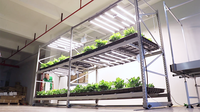 Étagères de culture pour champignons OEM, prix d'usine, système vertical, étagère mobile, support vertical pour culture en intérieur