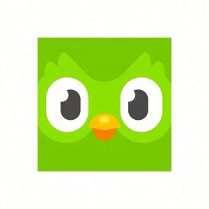 Cuenta Global de Duolingo, Duolingo Premium, Duolingo Super, 1 Año, 1, 3, 6, 12 Meses, Vincula tu Cuenta - Product Image 3
