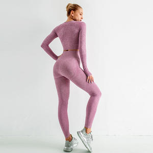 Top de Yoga de manga larga <span class=keywords><strong>Curvy</strong></span> Nude Plain Polyester Custom New Seamless Long 2 Piece High Waist Jacquard Purple Yoga Set - Product Image 2