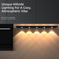 Veilleuse LED à détection corporelle, blanc chaud, 5V, ultra-mince, rechargeable, à intensité variable, portable, minimaliste, contemporaine, mini pour cave à vin