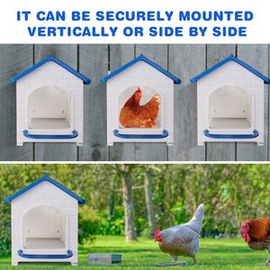 Nouvelle boîte à poules en plastique rouge/bleu de type A pour élevage avicole, facile à nettoyer - Product Image 3
