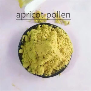 Pollen de pollinisation d'arbres à abricots spécifiques aux vergers |   Haute vitalité et pollinisation facile |   En stock pour la vente en gros - Product Image 2
